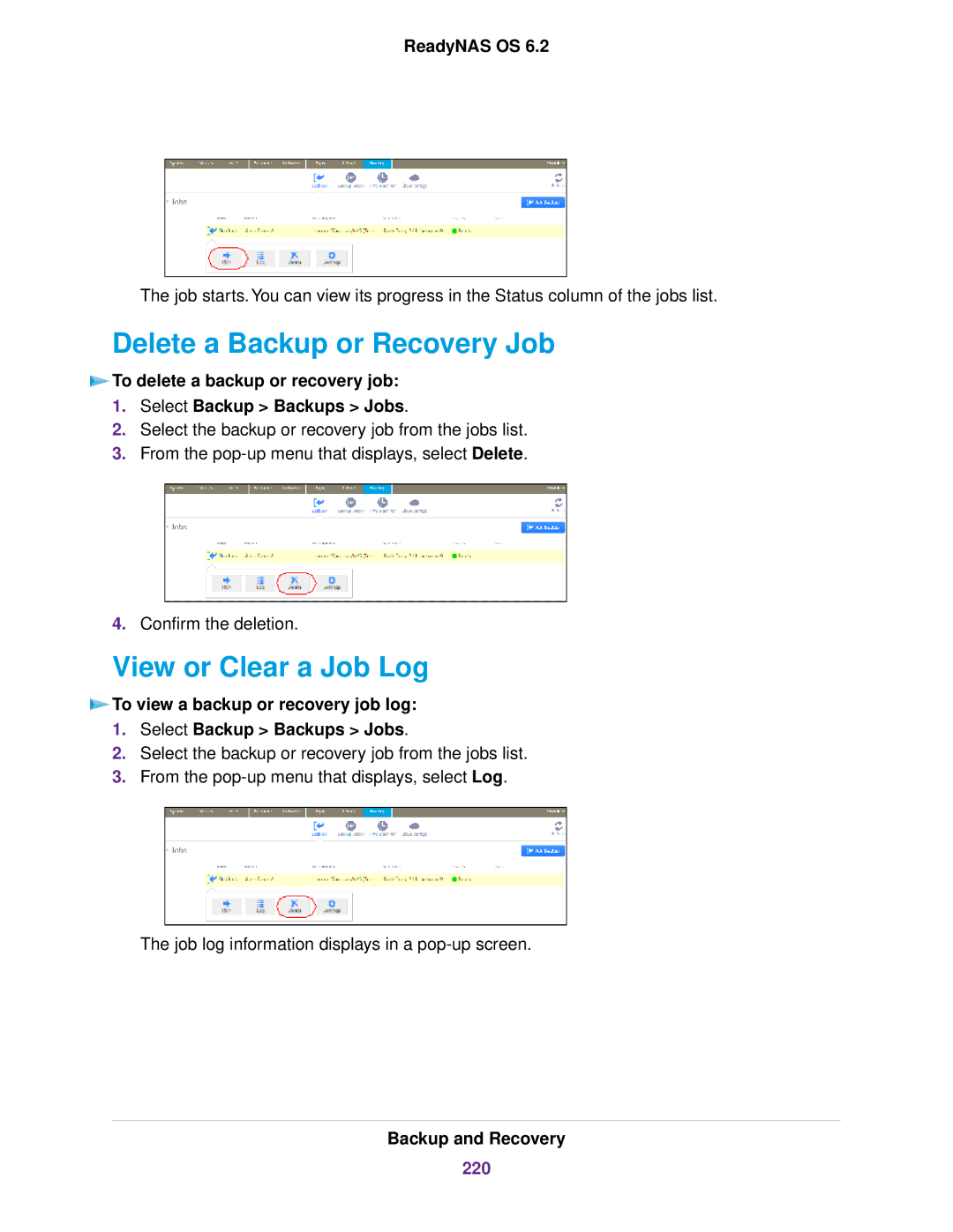 NETGEAR READYNAS 2120, READYNAS 716X, READYNAS 4220, EDA 500 Delete a Backup or Recovery Job, View or Clear a Job Log 