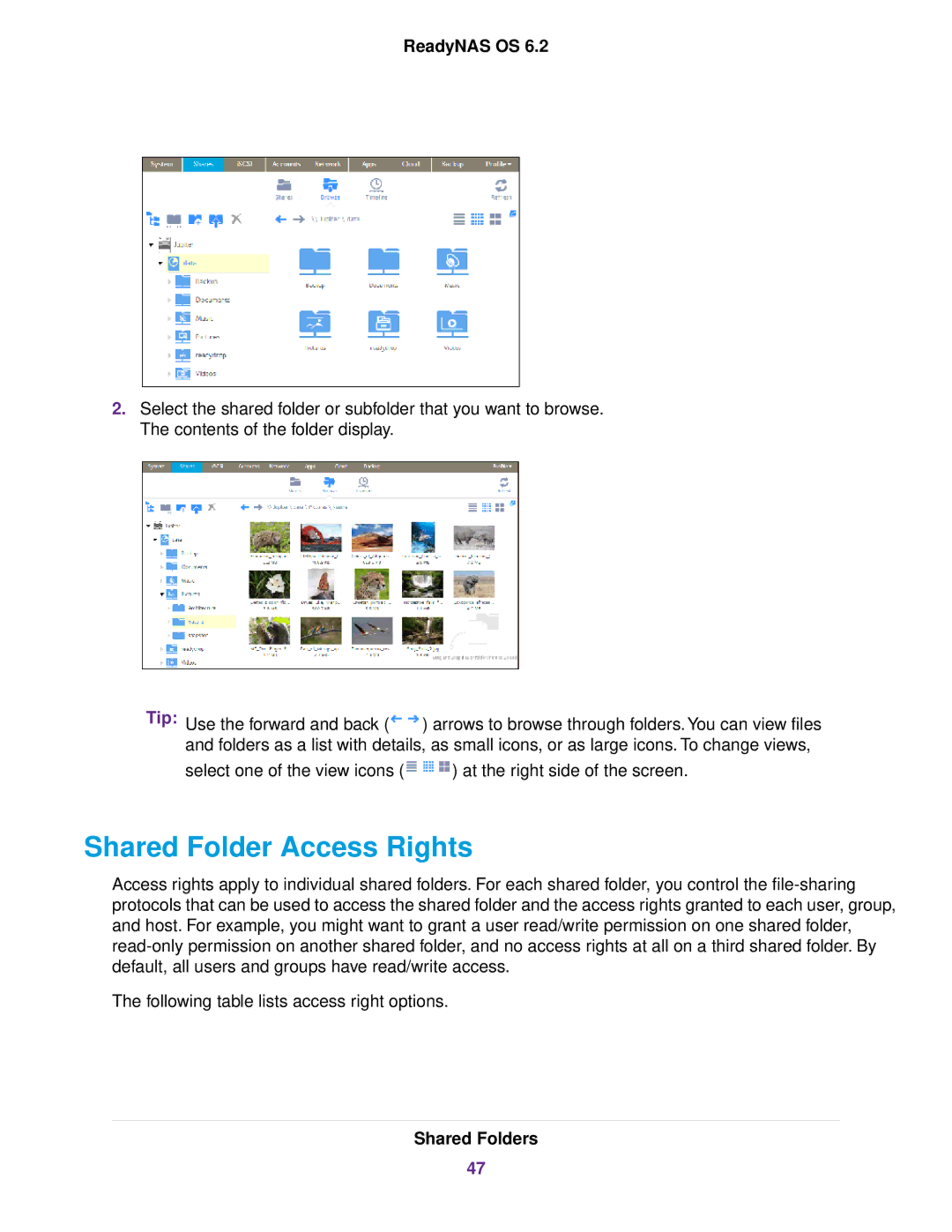 NETGEAR ReadyNAS 2120 v2, READYNAS 716X, READYNAS 4220, READYNAS 516, READYNAS 316, READYNAS 2120 Shared Folder Access Rights 