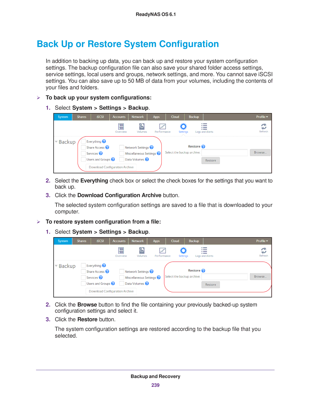 NETGEAR EDA 500, READYNAS 716X Back Up or Restore System Configuration, Click the Download Configuration Archive button 