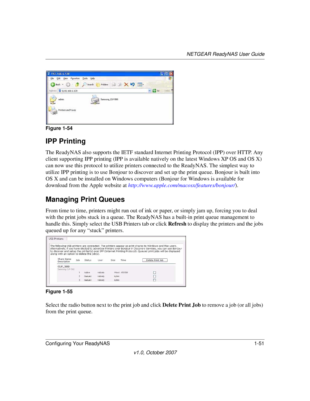 NETGEAR RN10400100NAS, RN31400-100NAS, RN10223D-100NAS, RN31441E-100NAS manual IPP Printing Managing Print Queues 