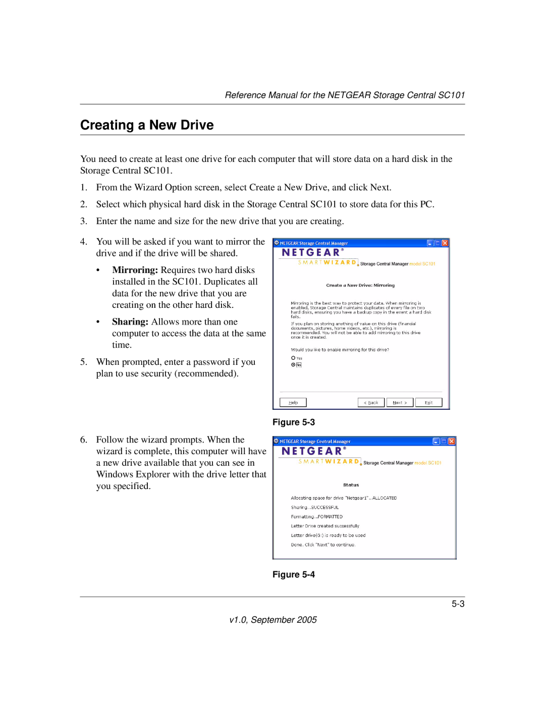 NETGEAR SC101 manual Creating a New Drive 