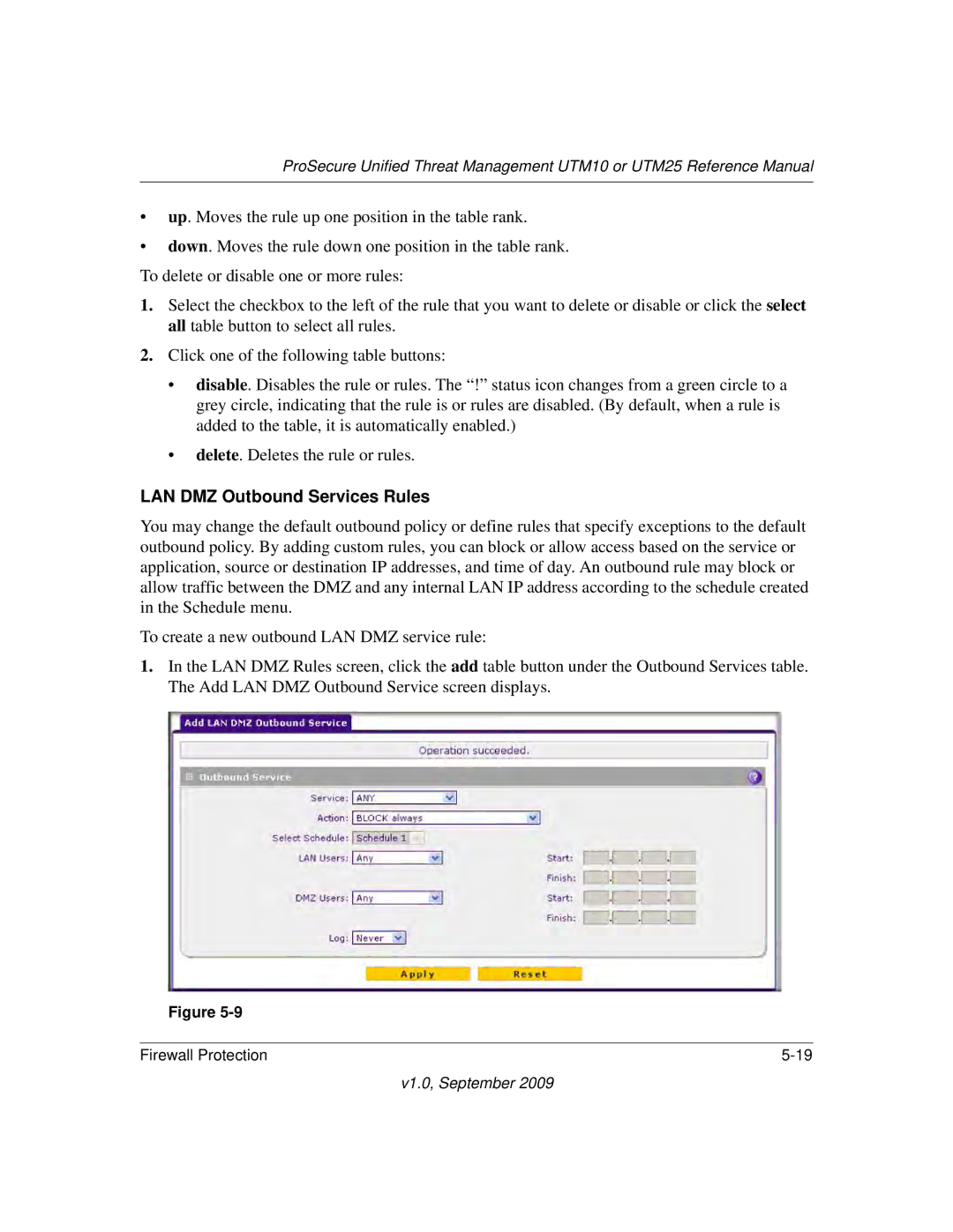 NETGEAR UTM10EW-100NAS, UTM25-100NAS, UTM25EW-100NAS manual LAN DMZ Outbound Services Rules 