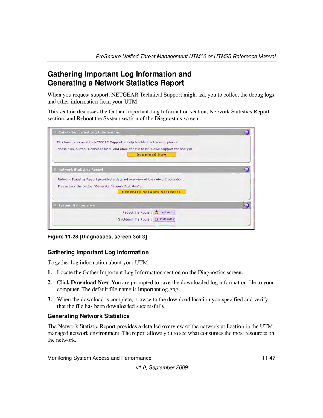 NETGEAR UTM25-100NAS, UTM10EW-100NAS, UTM25EW-100NAS Gathering Important Log Information, Generating Network Statistics 