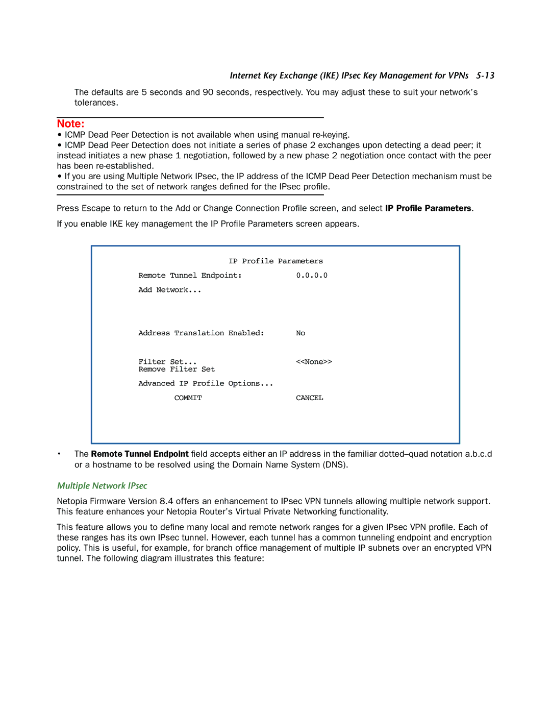 Netopia 3300-ENT manual Multiple Network IPsec 