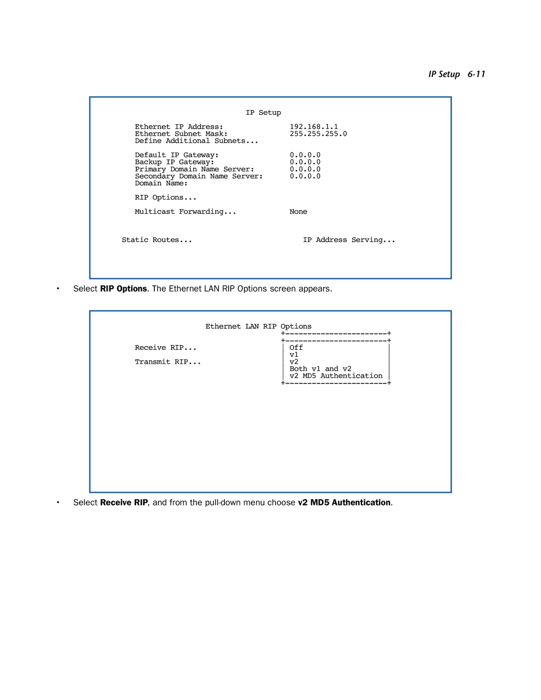 Netopia 3300-ENT manual IP Address Serving 