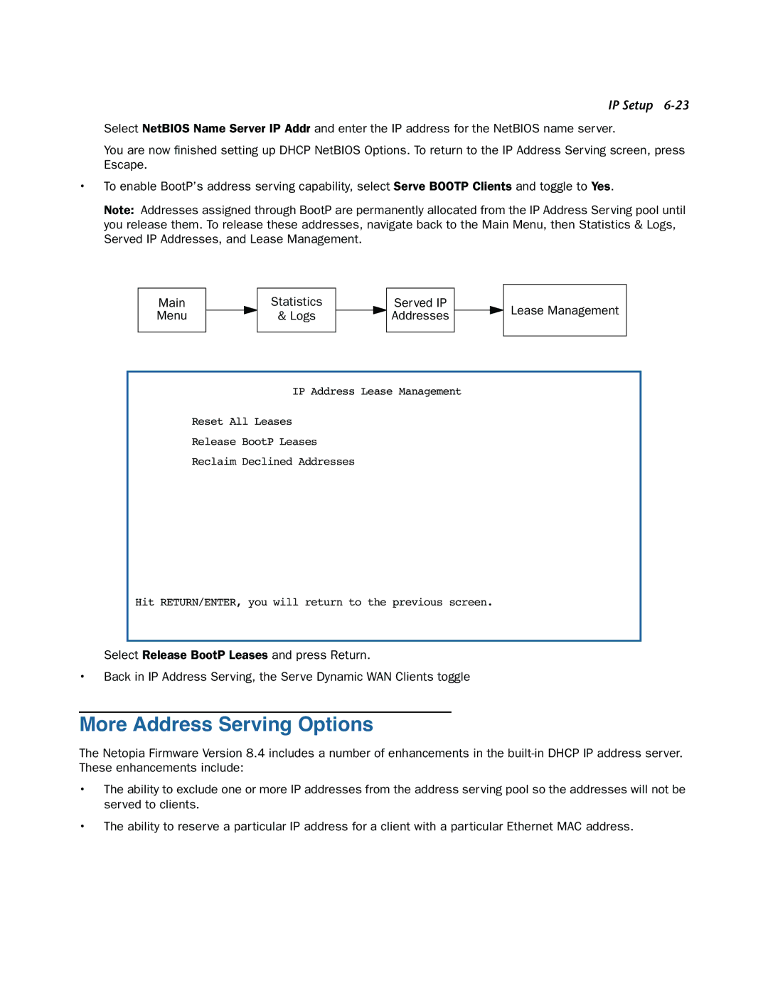 Netopia 3300-ENT manual More Address Serving Options 