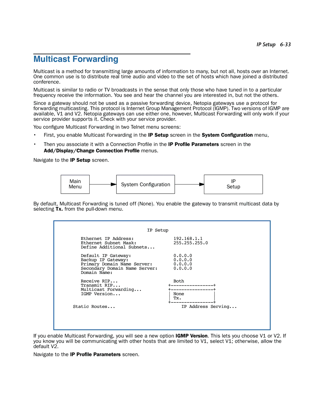 Netopia 3300-ENT manual Multicast Forwarding 