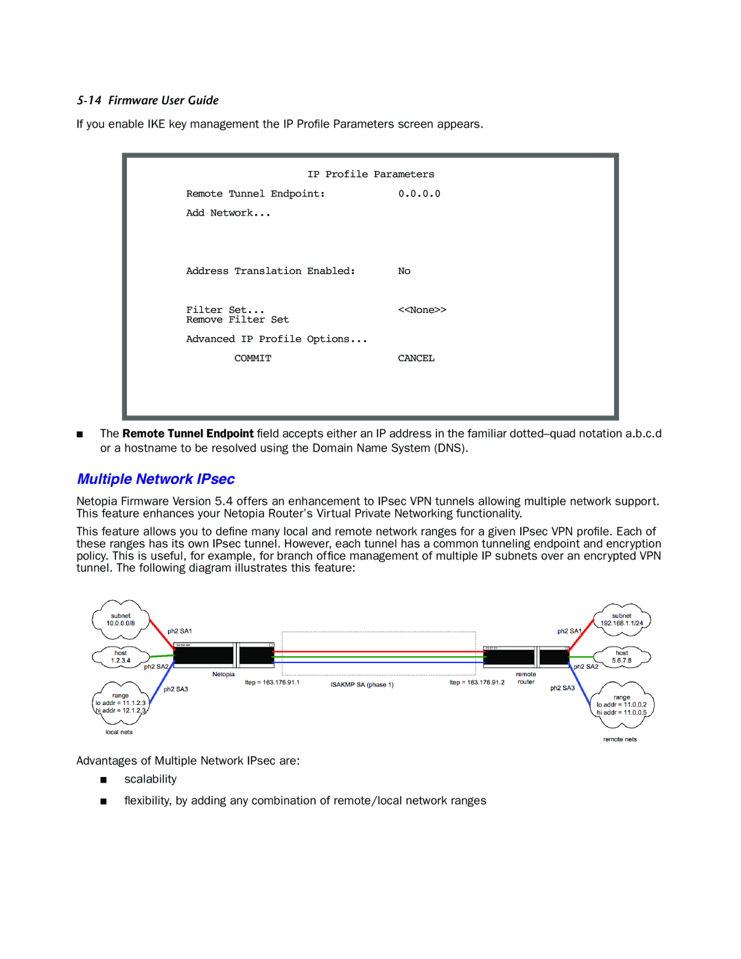 Netopia 4000-Series manual Multiple Network IPsec 