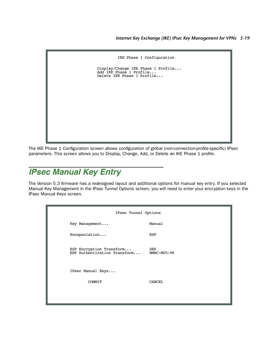 Netopia 4000-Series manual IPsec Manual Key Entry 