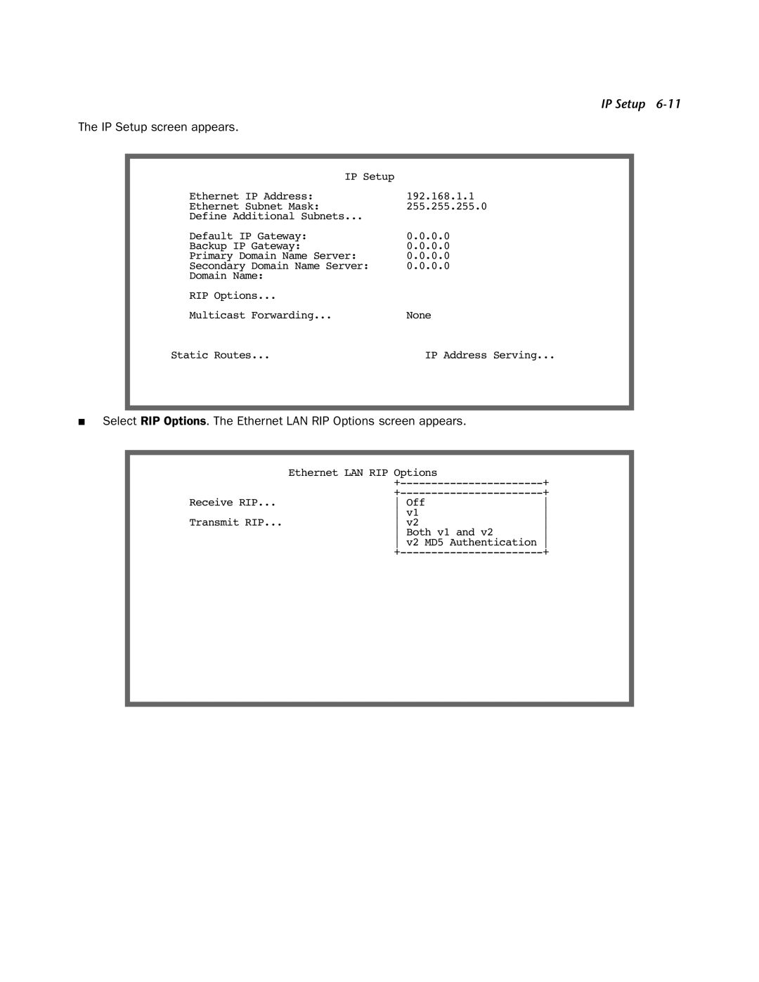 Netopia 4000-Series manual IP Setup screen appears 