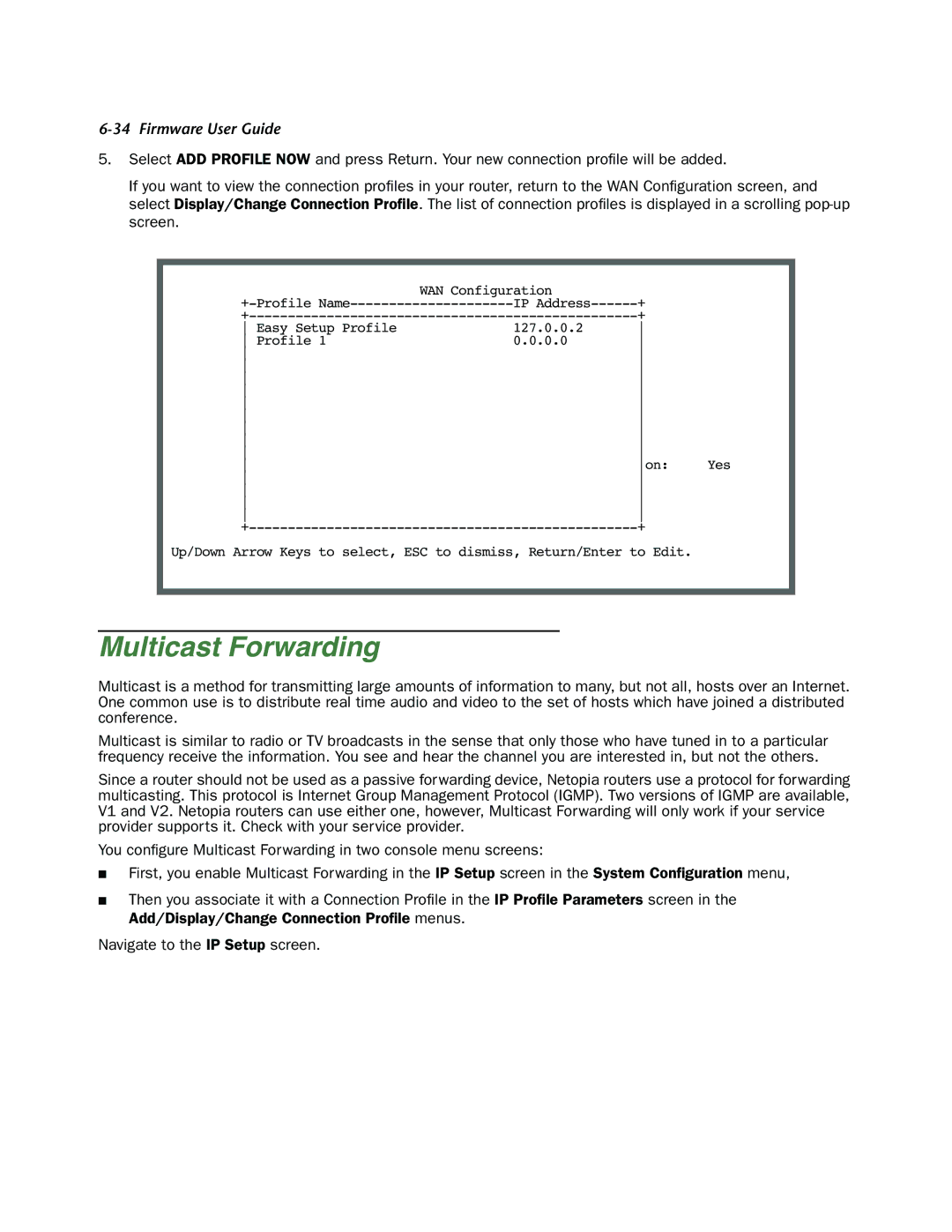 Netopia 4000-Series manual Multicast Forwarding 