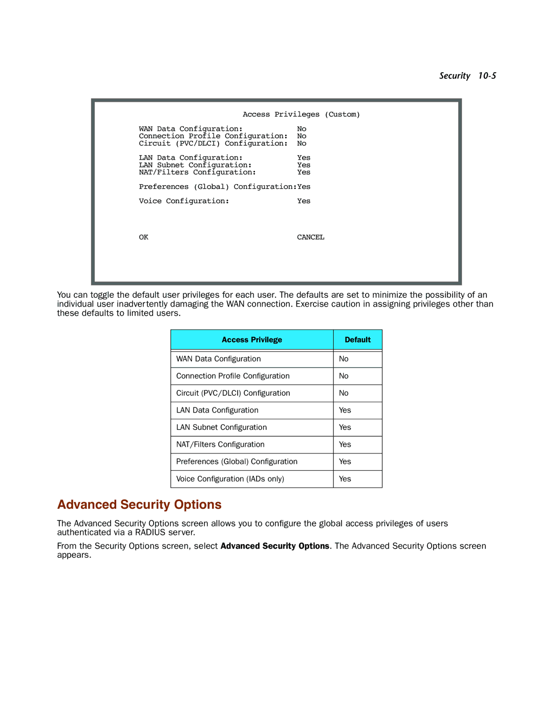 Netopia 4000-Series manual Advanced Security Options 