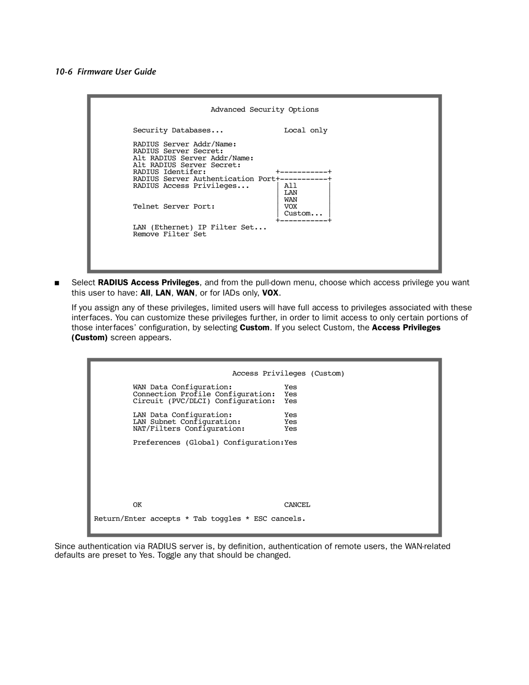 Netopia 4000-Series manual Lan Wan 