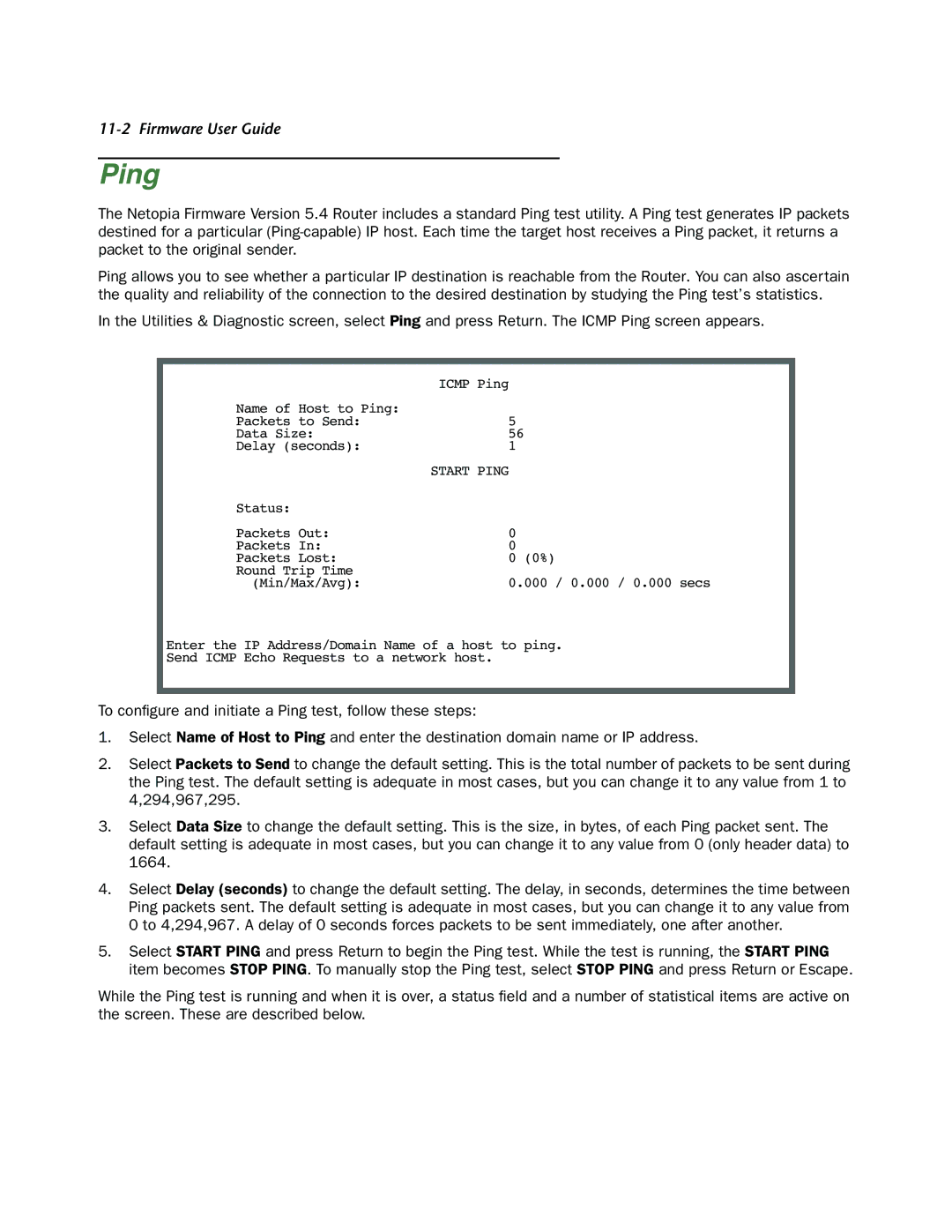 Netopia 4000-Series manual Ping 