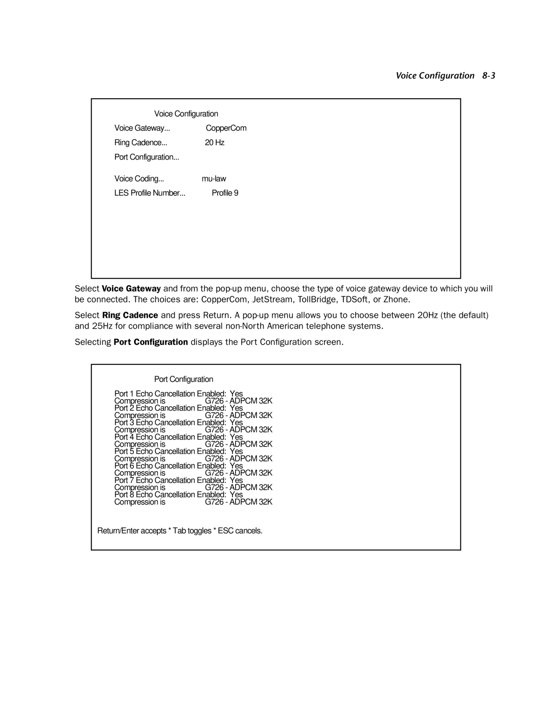 Netopia 4753 manual Voice Configuration Voice Gateway 