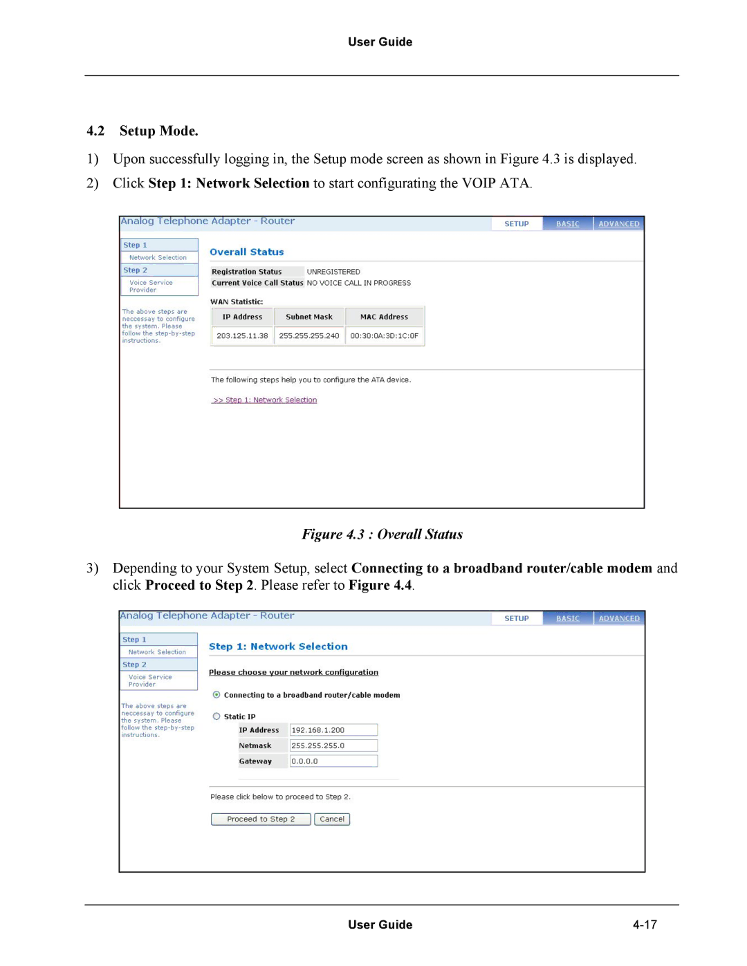 Netopia Network Adapater manual Setup Mode, Overall Status 