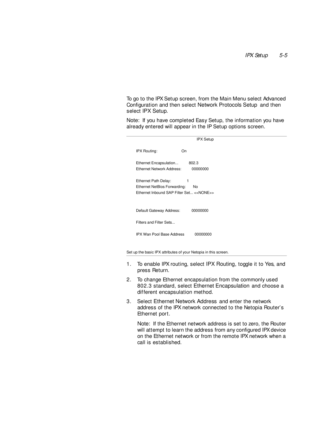 Netopia PN Series manual IPX Setup 