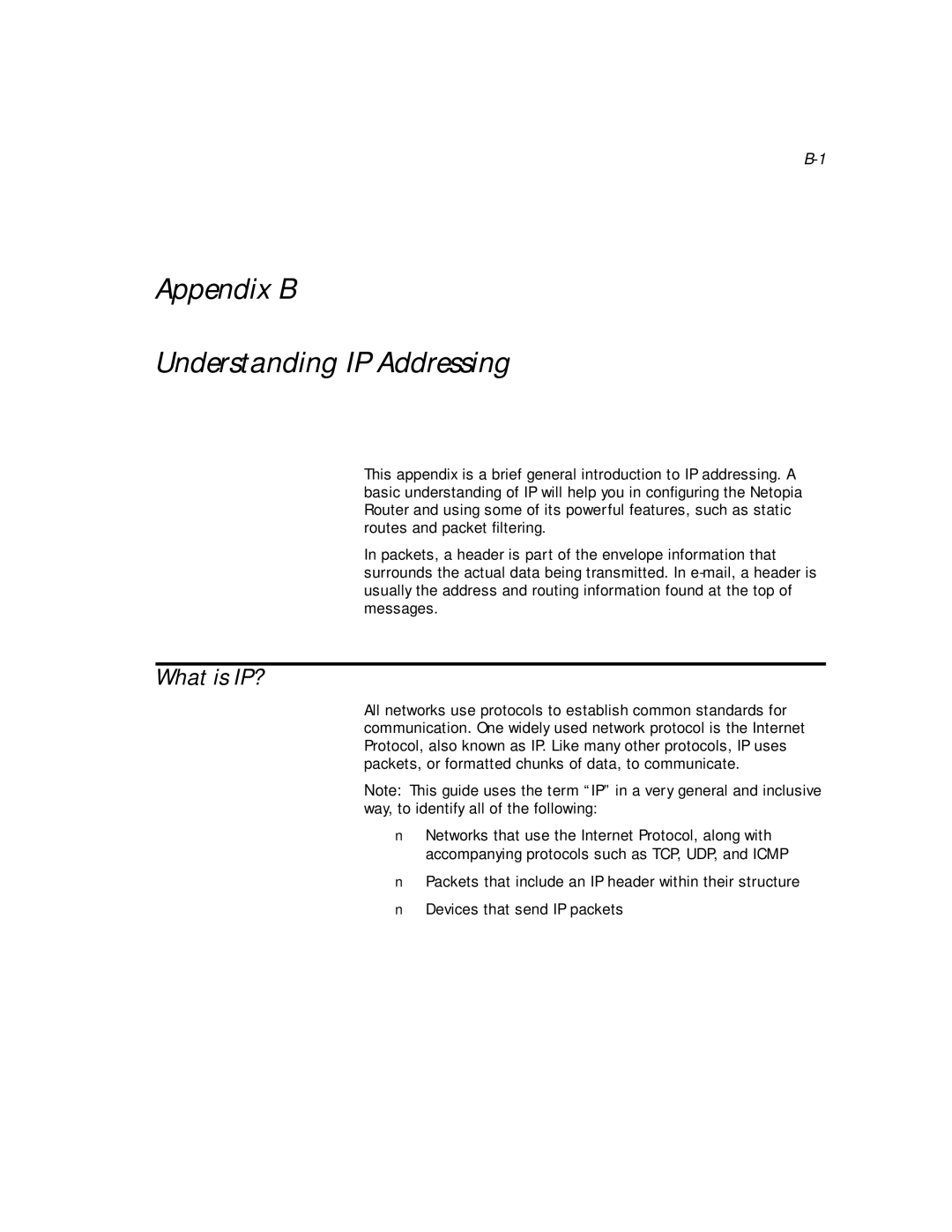 Netopia PN Series manual Appendix B Understanding IP Addressing, What is IP? 