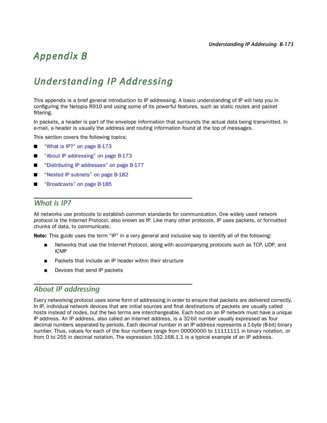 Netopia R910 Appendix B Understanding IP Addressing, What is IP?, About IP addressing, Understanding IP Addressing B-173 