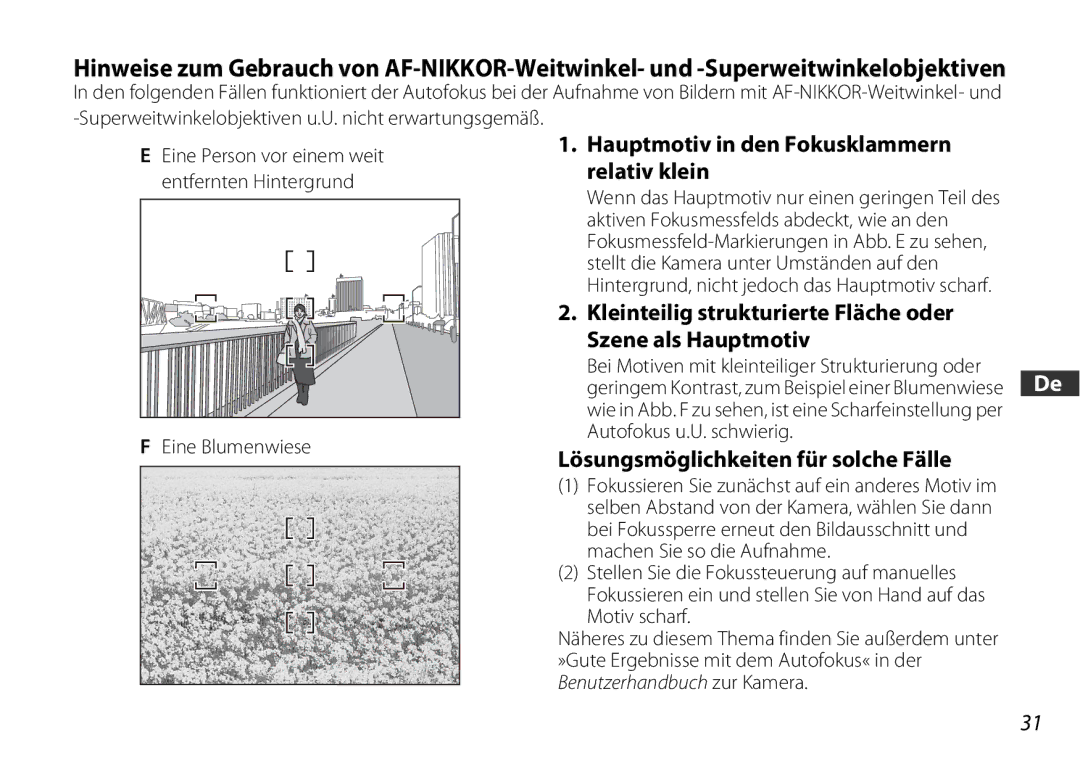 Nikon 2178 Hauptmotiv in den Fokusklammern relativ klein, Kleinteilig strukturierte Fläche oder Szene als Hauptmotiv 