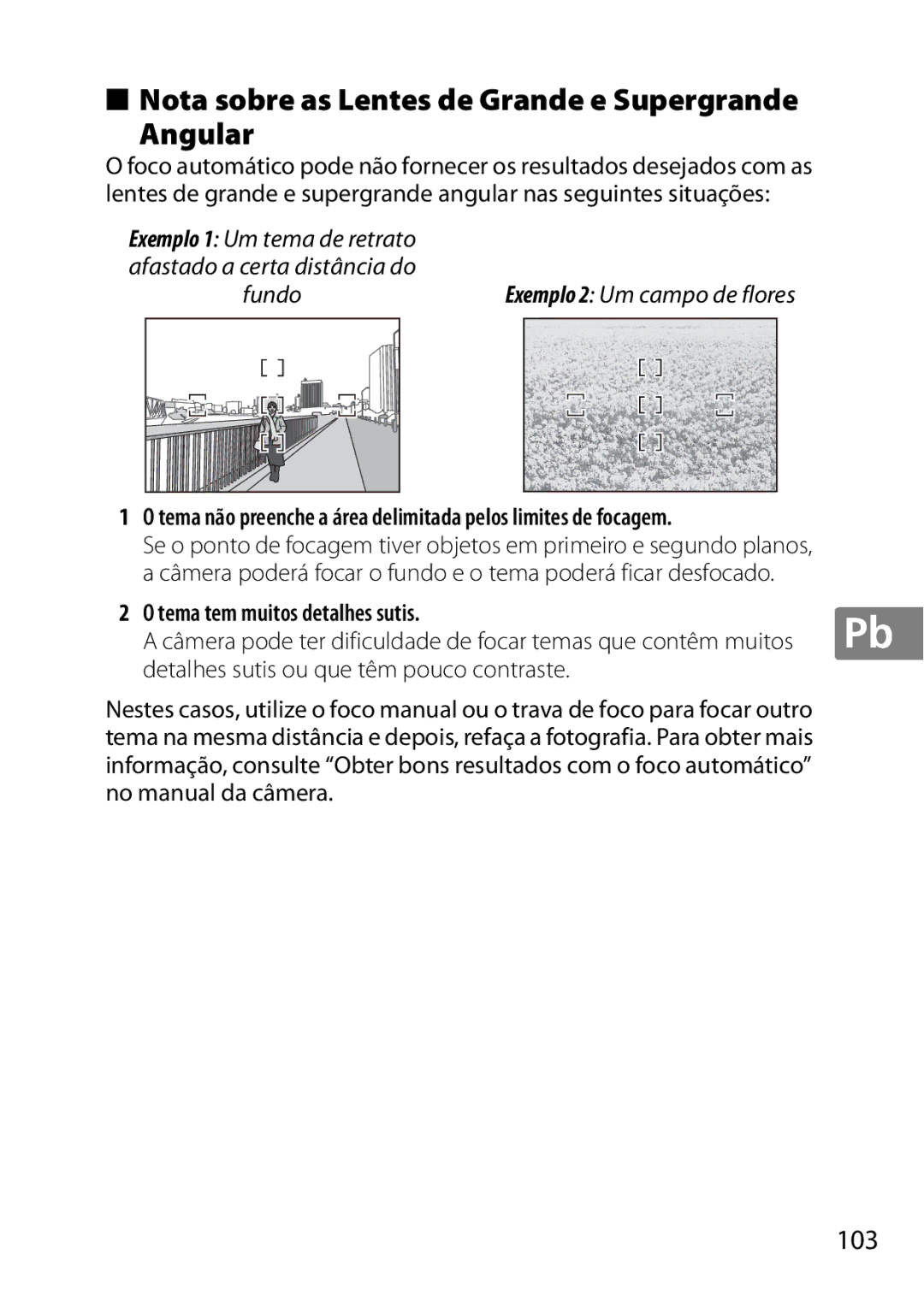 Nikon 2196 user manual Nota sobre as Lentes de Grande e Supergrande Angular, 103, Fundo, Tema tem muitos detalhes sutis 