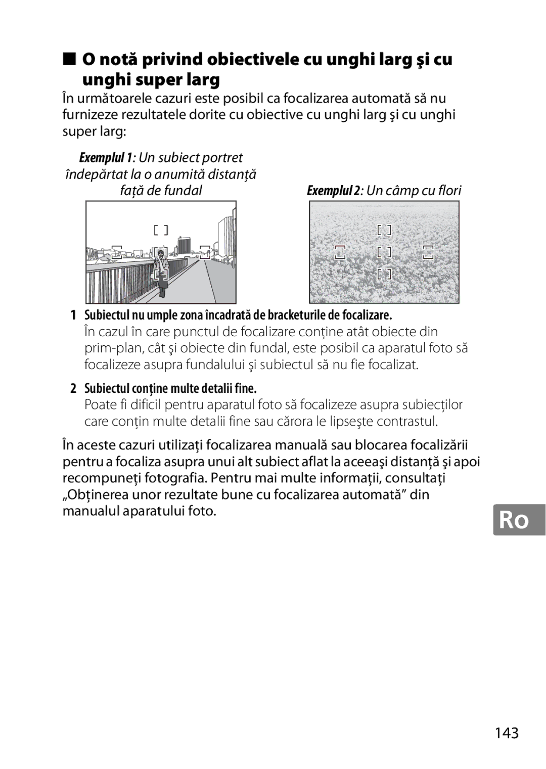 Nikon 2196 user manual 143, Subiectul conţine multe detalii fine 