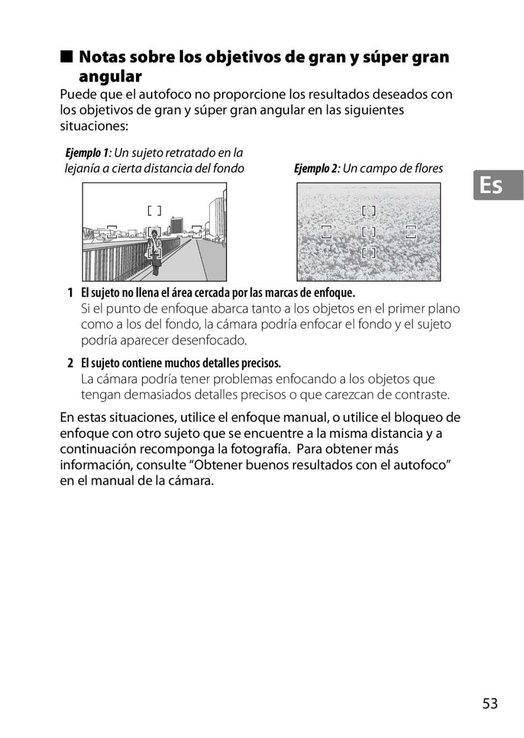 Nikon 2196 user manual Notas sobre los objetivos de gran y súper gran Angular, El sujeto contiene muchos detalles precisos 