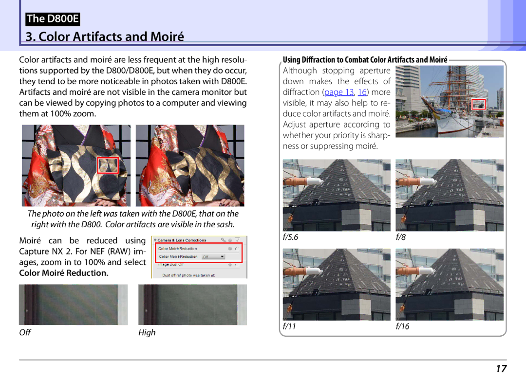 Nikon 25498B manual Color Artifacts and Moiré 