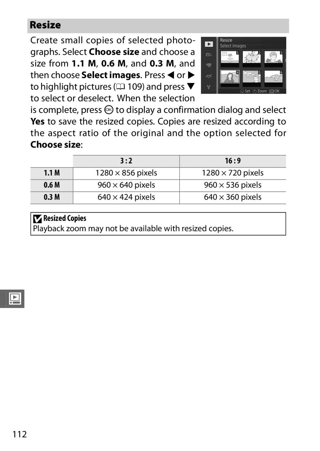 Nikon 27631, 27619, S1 White, S1 Red, 27629 112, DResized Copies, Playback zoom may not be available with resized copies 