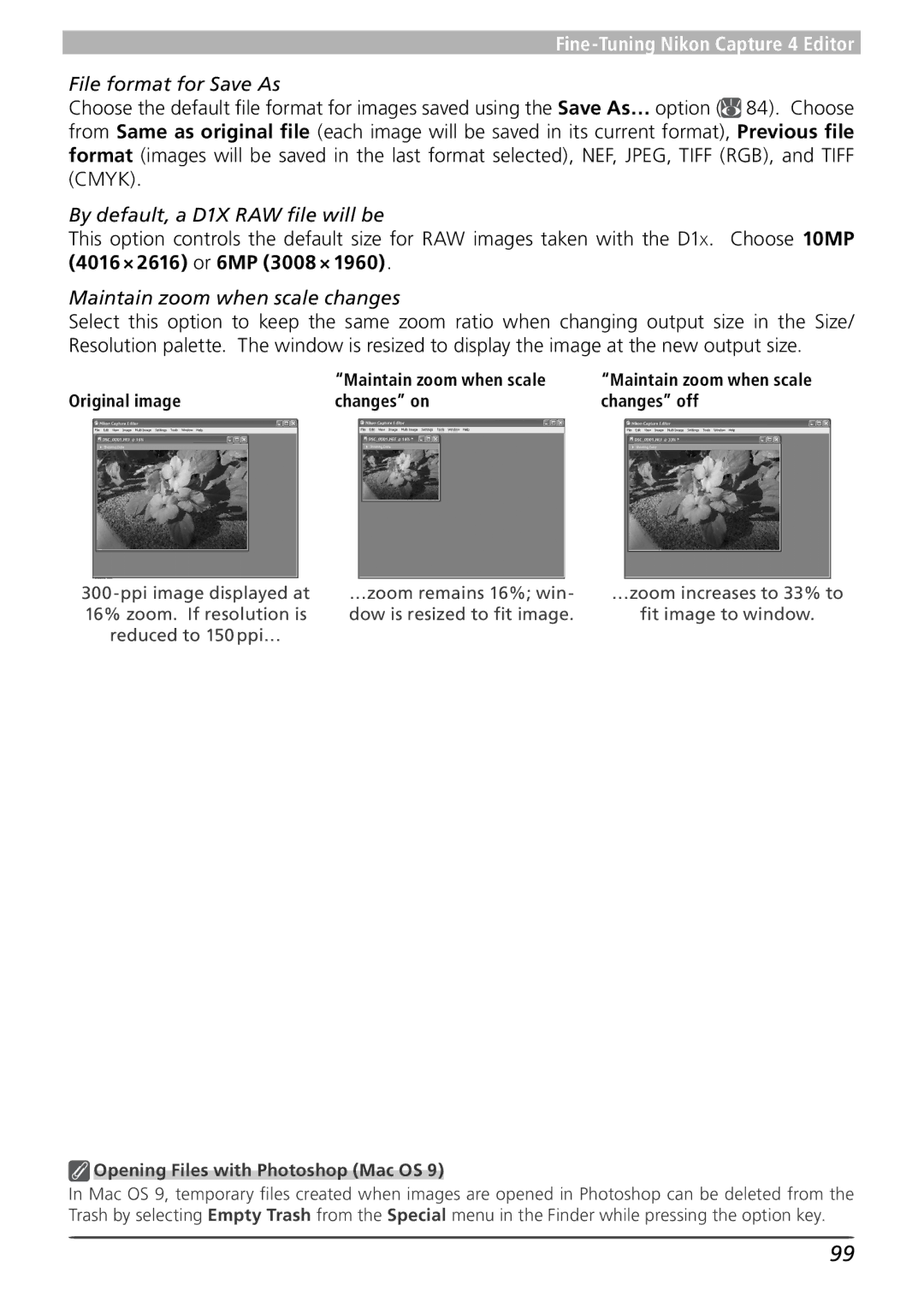 Nikon 4 user manual File format for Save As, By default, a D1X RAW ﬁle will be, Maintain zoom when scale changes 