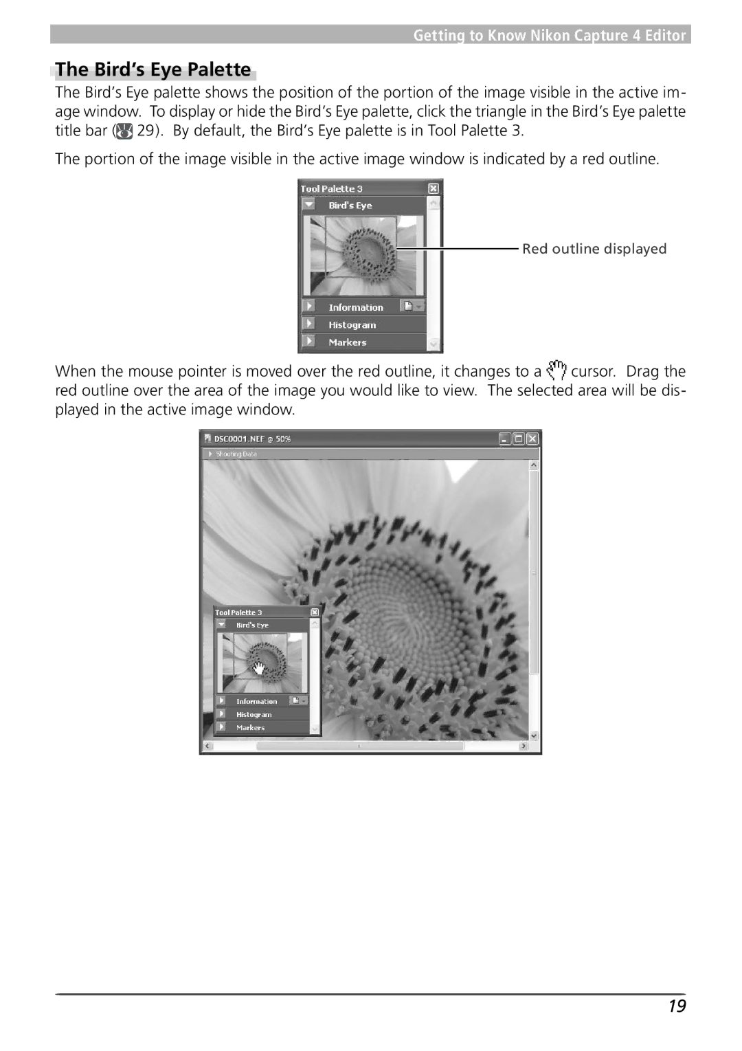 Nikon 4 user manual Bird’s Eye Palette 