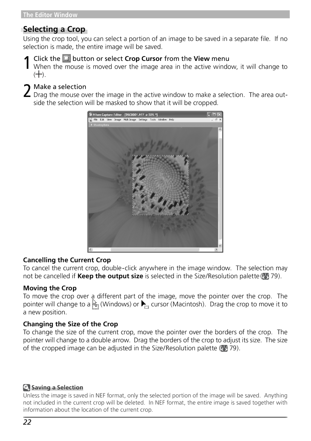 Nikon 4 Selecting a Crop, Cancelling the Current Crop, Moving the Crop, Changing the Size of the Crop, Saving a Selection 