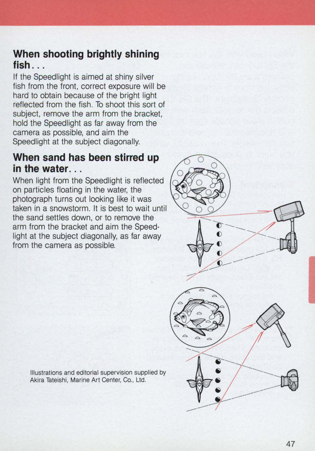 Nikon 58-104 manual When shooting brightly shining fish, When sand has been stirred up in the water 