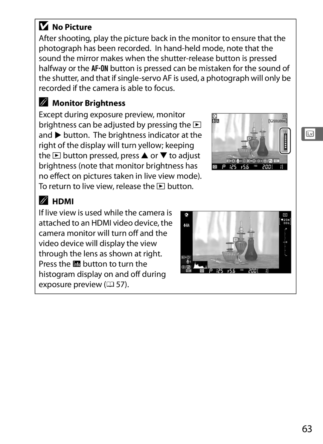 Nikon 6MB07411-03 user manual No Picture, Monitor Brightness 