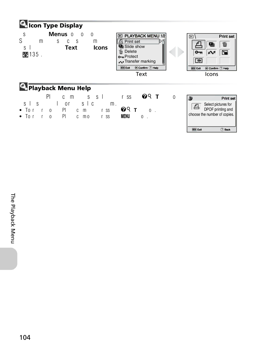 Nikon 7900, COOLPIX5900 manual 104, Icon Type Display 