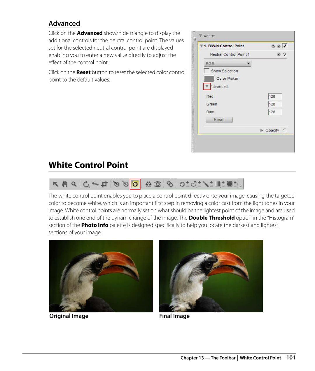 Nikon Capture NX2 user manual White Control Point, Advanced 