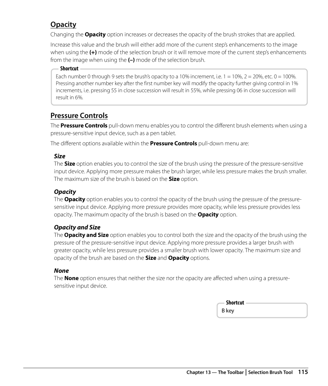 Nikon Capture NX2 user manual Pressure Controls, Opacity and Size, None 