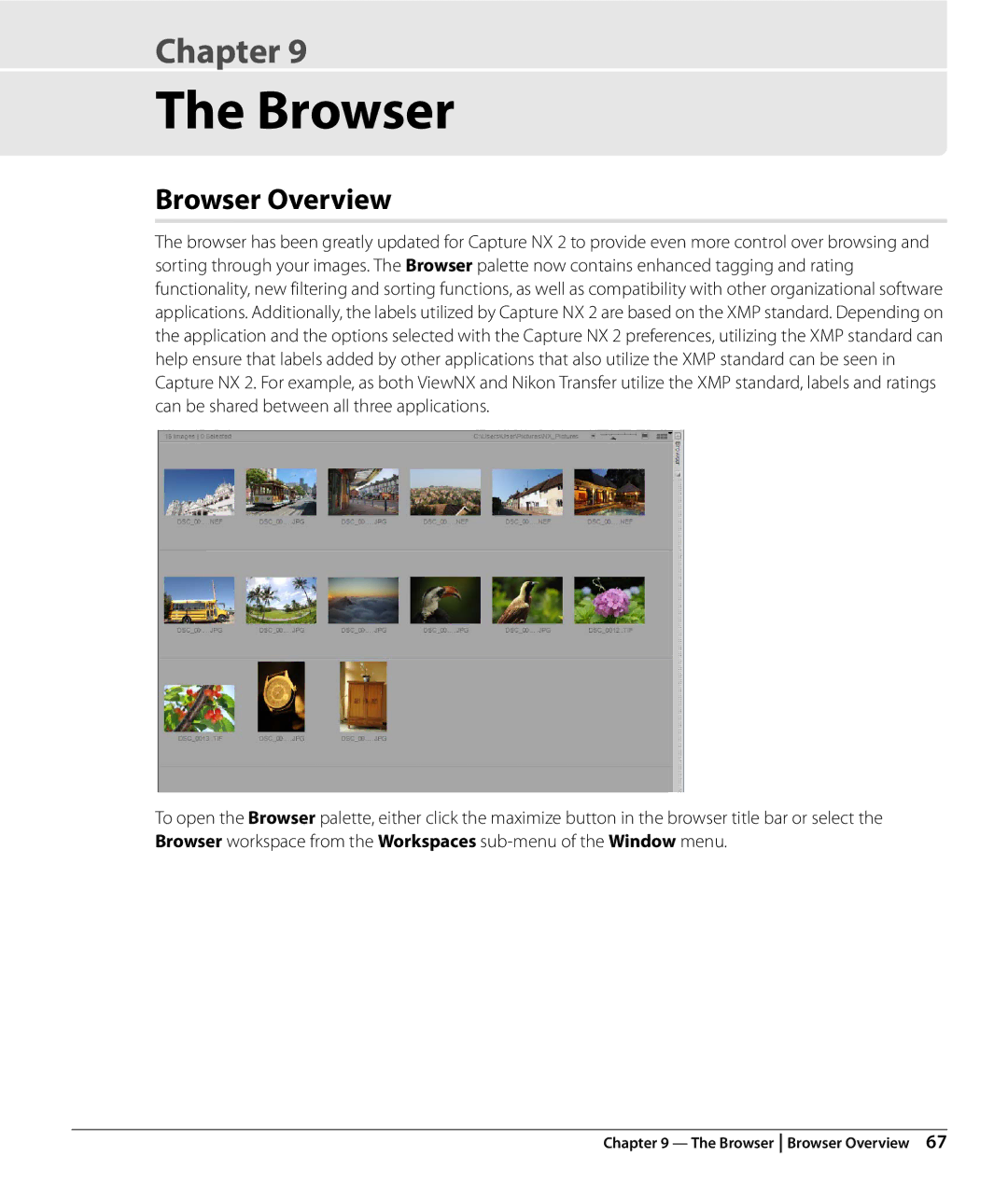 Nikon Capture NX2 user manual Browser Overview 