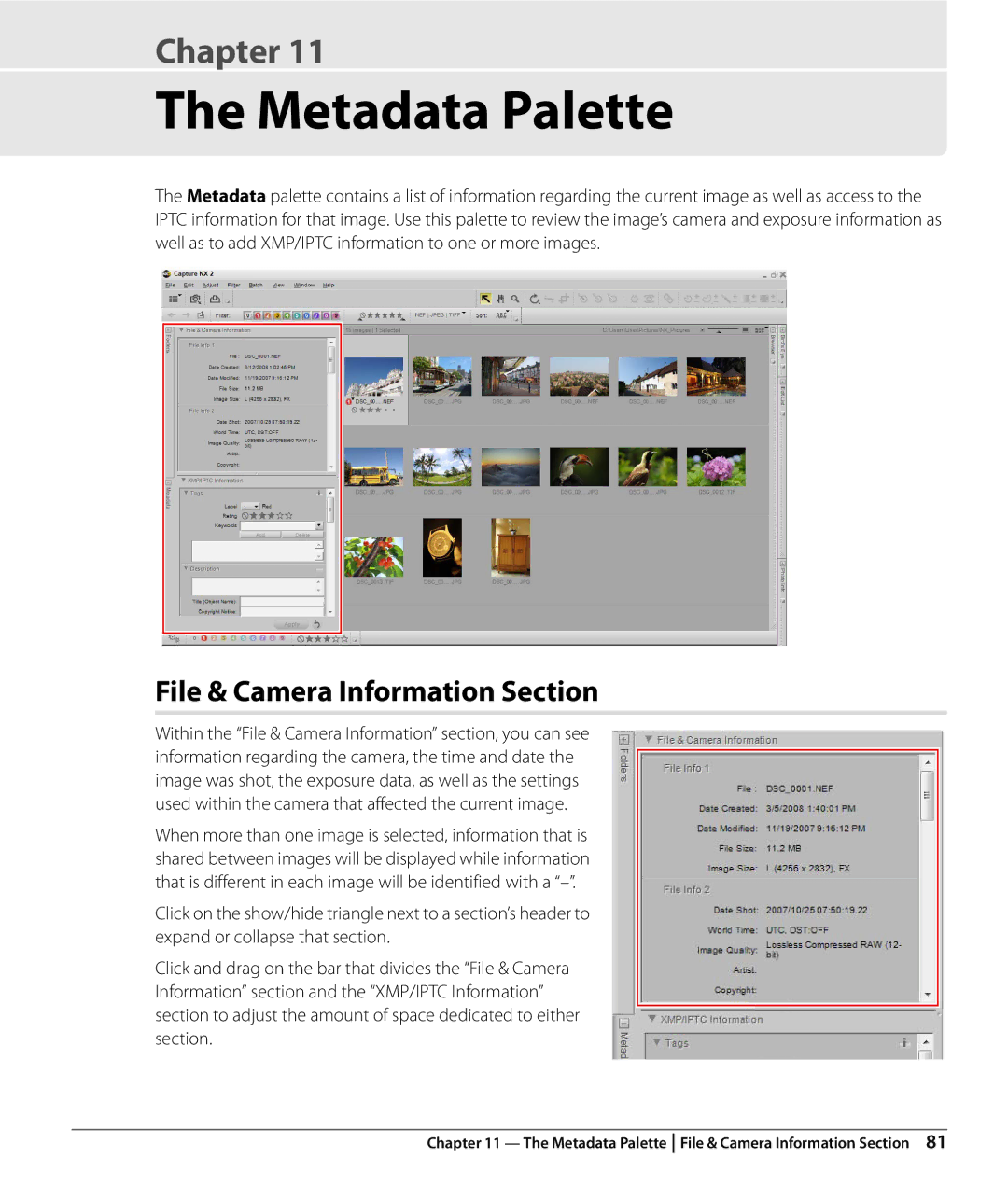 Nikon Capture NX2 user manual Metadata Palette, File & Camera Information Section 