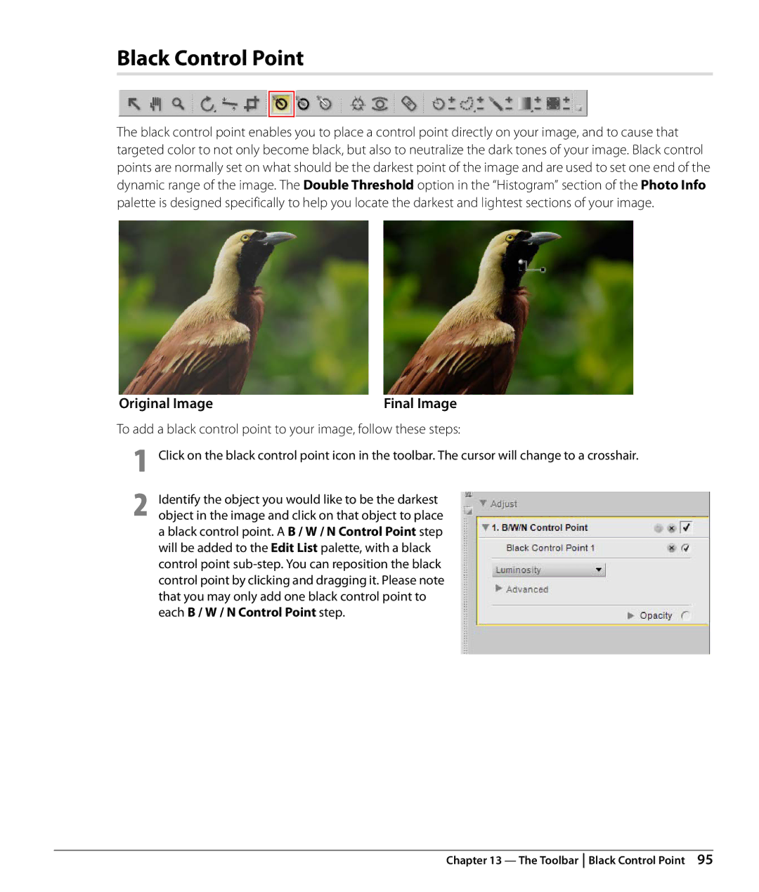 Nikon Capture NX2 user manual Black Control Point, Original Image 