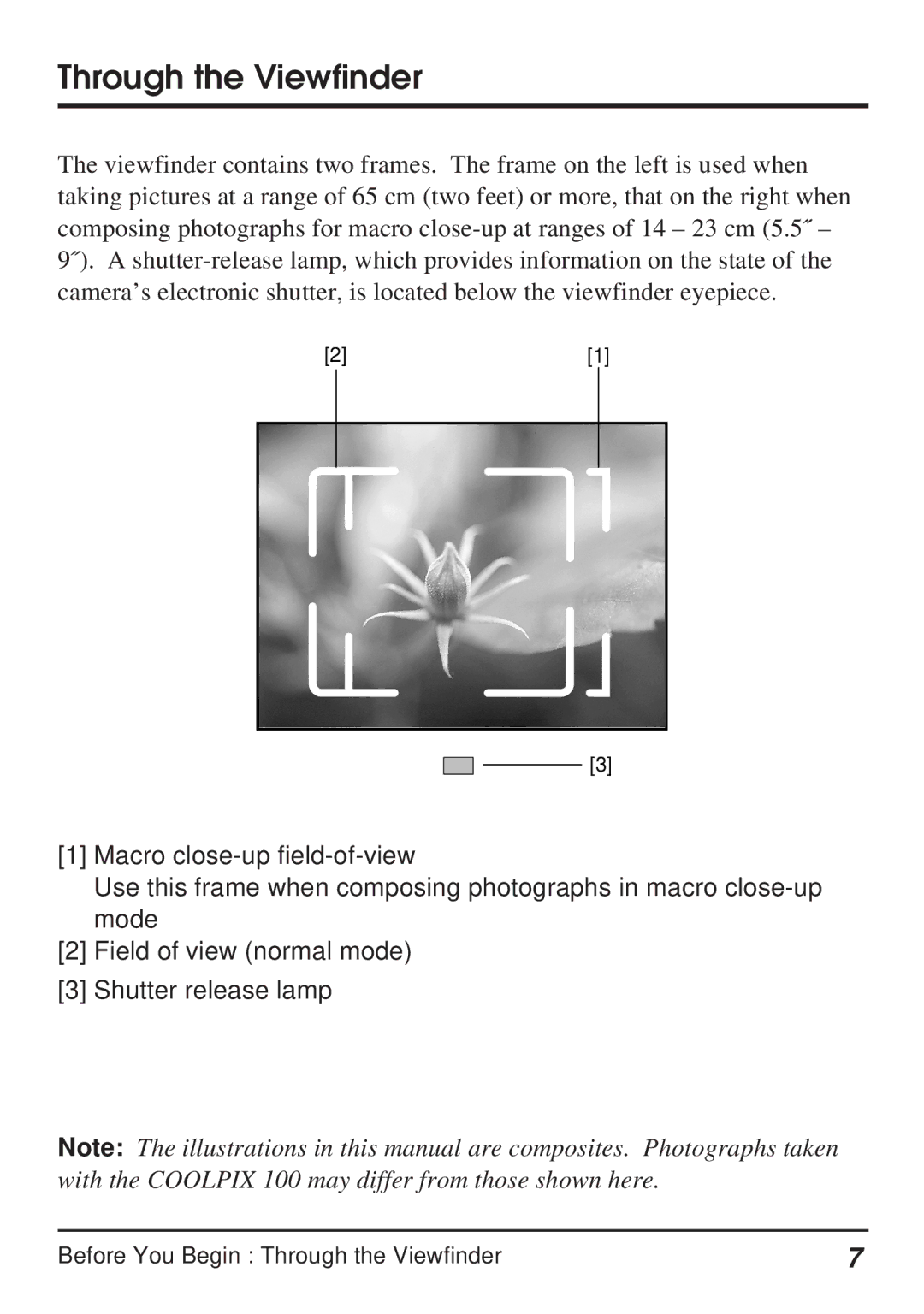 Nikon Coolpix 100 manual Through the Viewfinder 