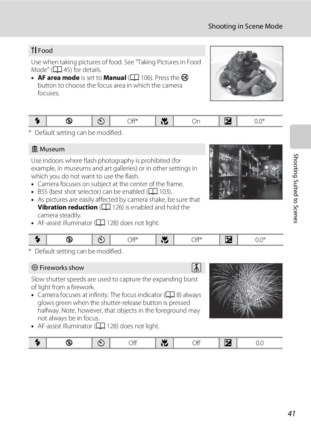 Nikon COOLPIXS1000PJ user manual Default setting can be modified Museum, Fireworks show 