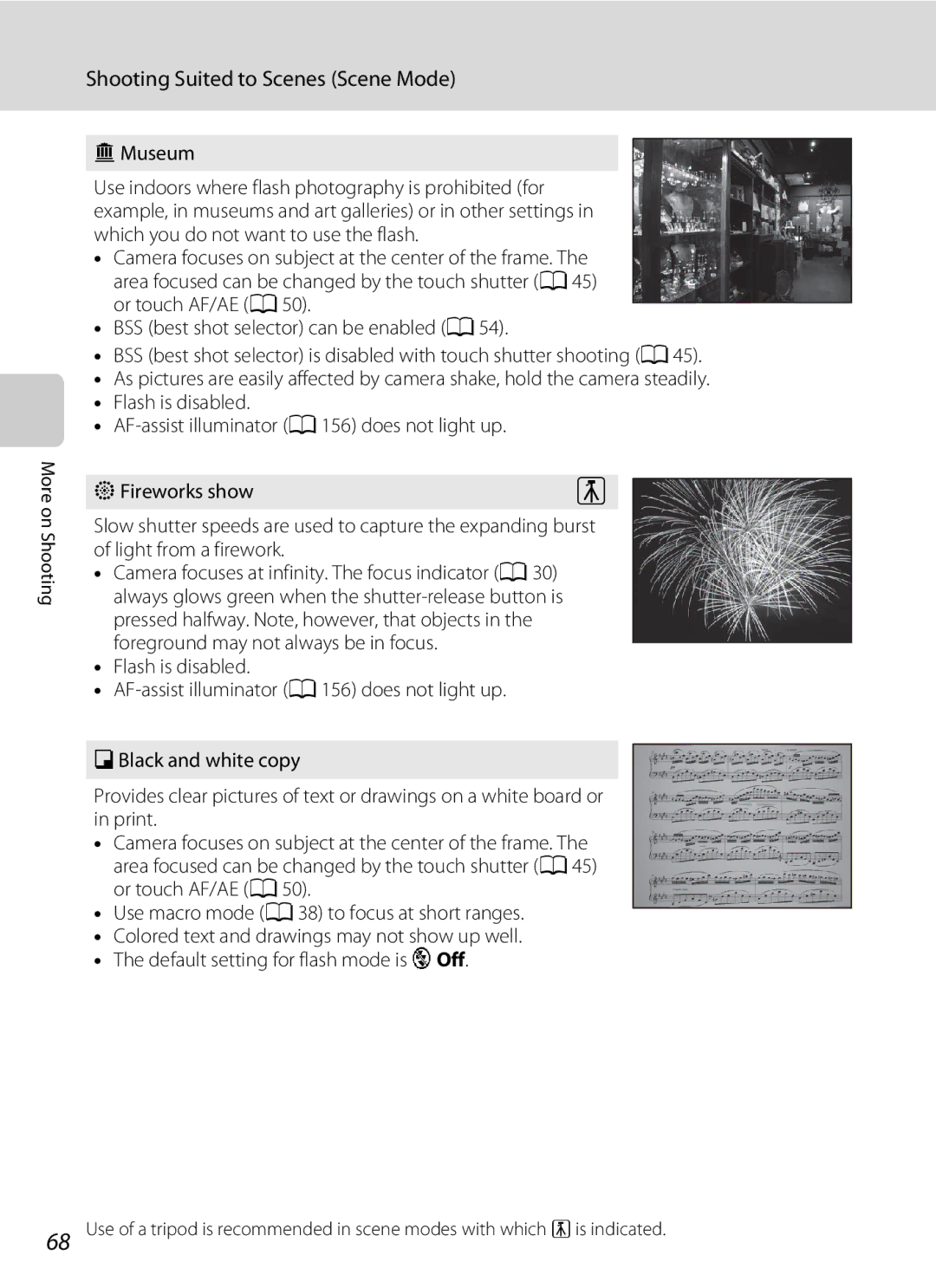 Nikon COOLPIXS4100BLK, COOLPIXS4100PLMDKIT, COOLPIXS4300PLUMKIT, COOLPIXS4100SLV user manual Museum, Fireworks show 