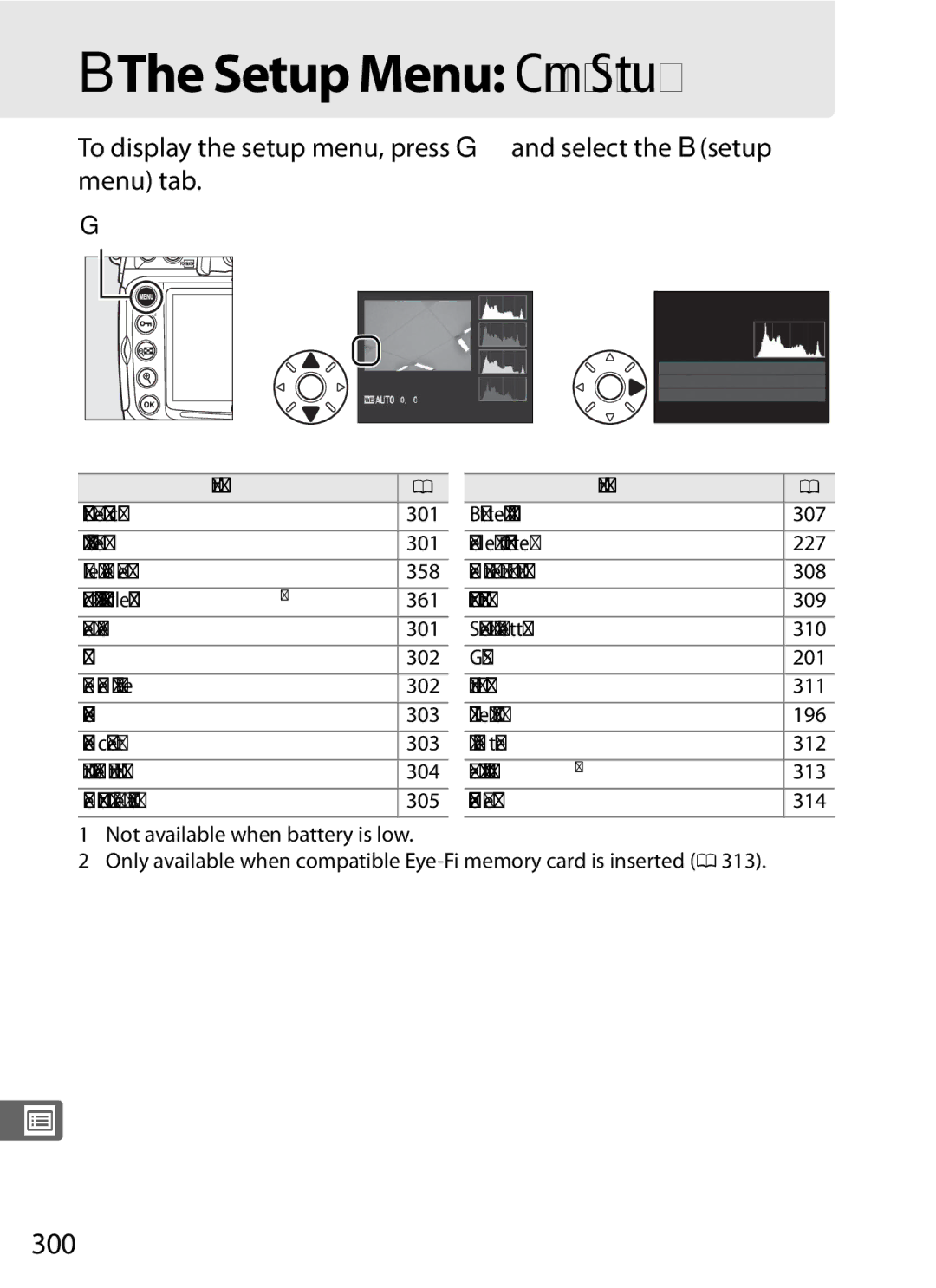 Nikon D300s manual 