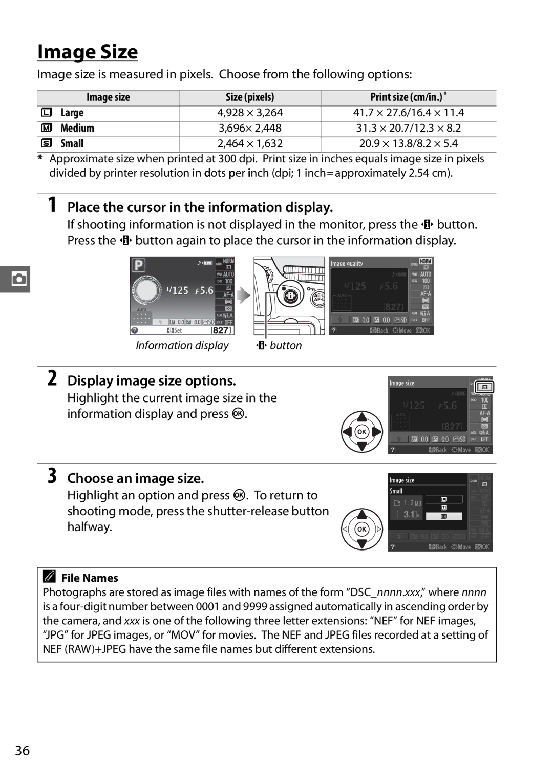 Nikon D5100 1855mm Kit, D5100 (18-55mm Kit), 25478B, 25476 Image Size, Display image size options, Choose an image size 