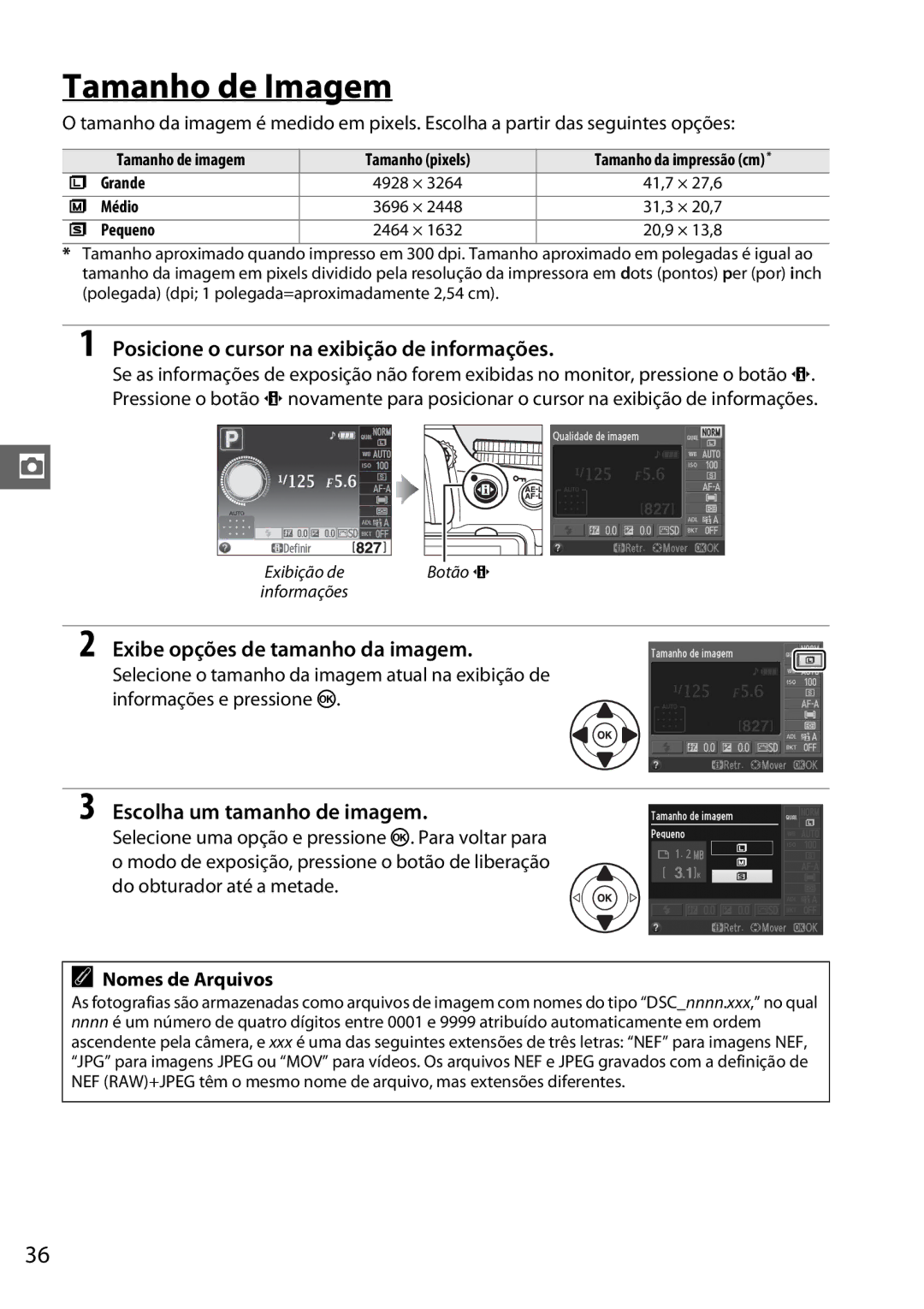 Nikon D5100 manual Tamanho de Imagem, Exibe opções de tamanho da imagem, Escolha um tamanho de imagem, Nomes de Arquivos 