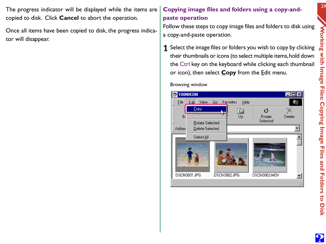 Nikon Digital Cameras manual Browsing window 