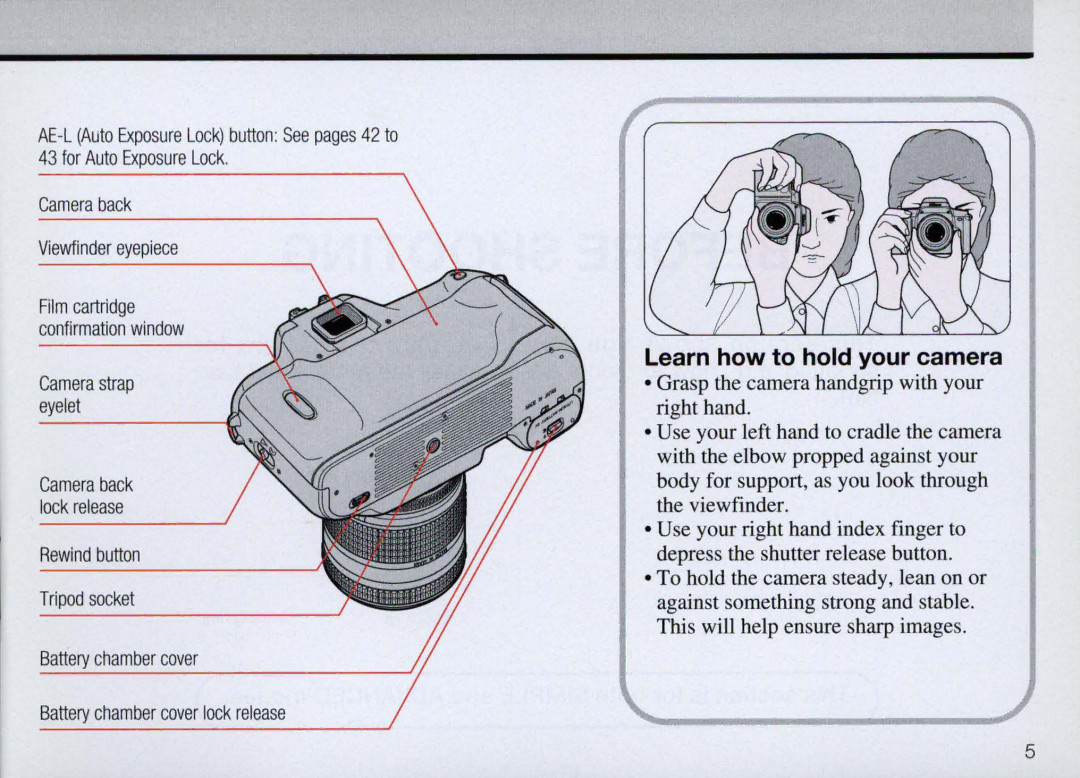 Nikon F50 instruction manual Learn how to hold your camera 