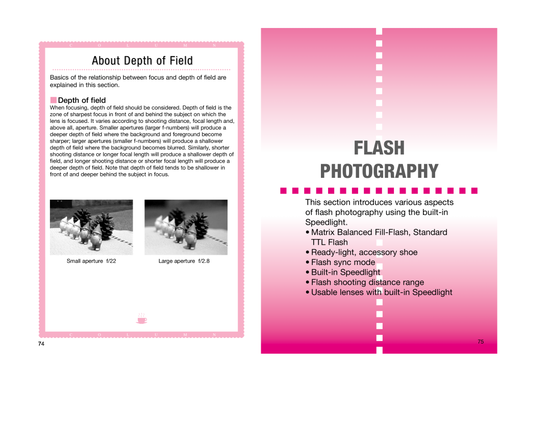 Nikon F65D Flash Photography, Matrix Balanced Fill-Flash, Standard TTL Flash, Depth of field, About Depth of Field 