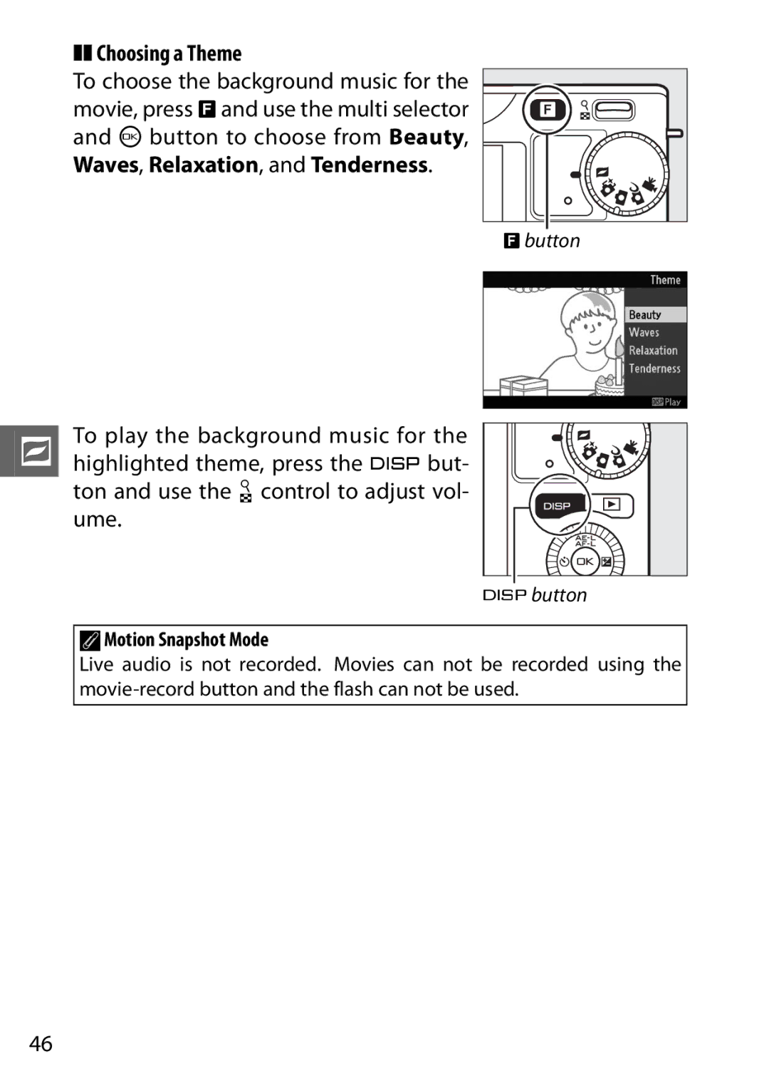 Nikon 6MVA3111 01, J2 White, SB2F01 11 user manual Choosing a Theme, AMotion Snapshot Mode 